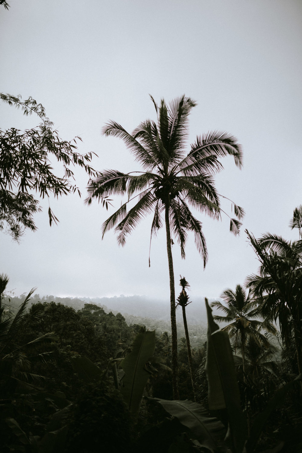bali-waterfall-couple-photography-56