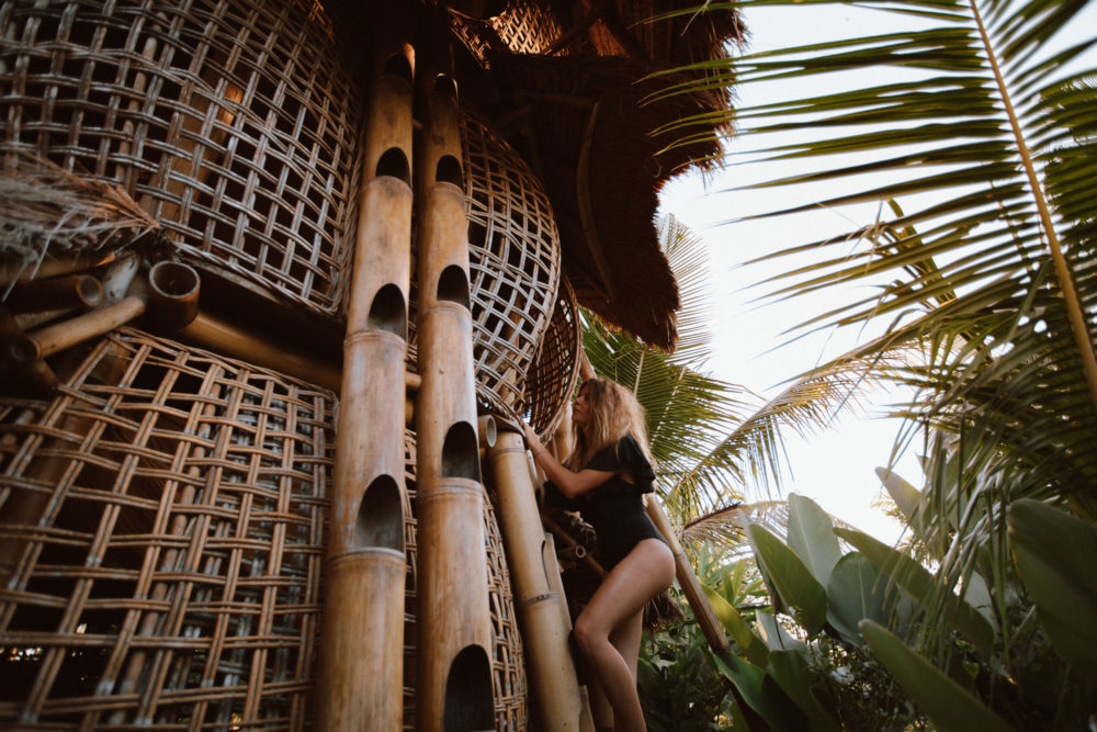 ECO LODGE COLLABORATION