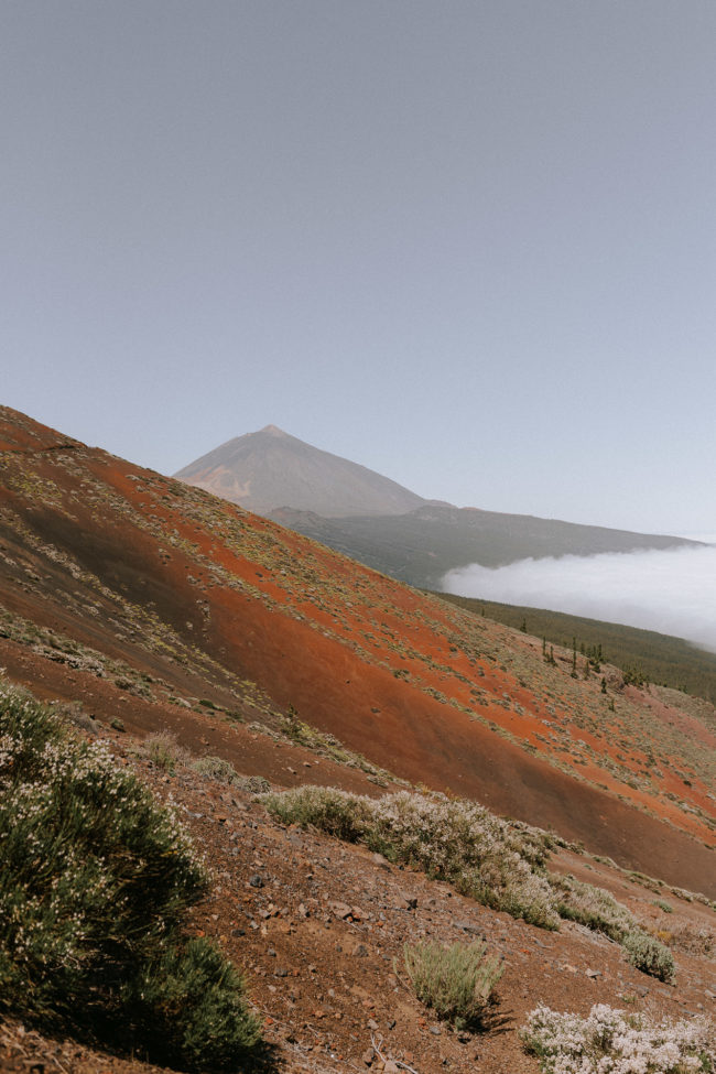 tenerife places to see-159