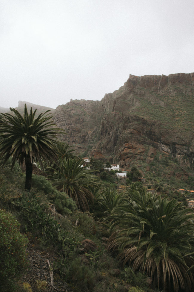 tenerife places to see-45
