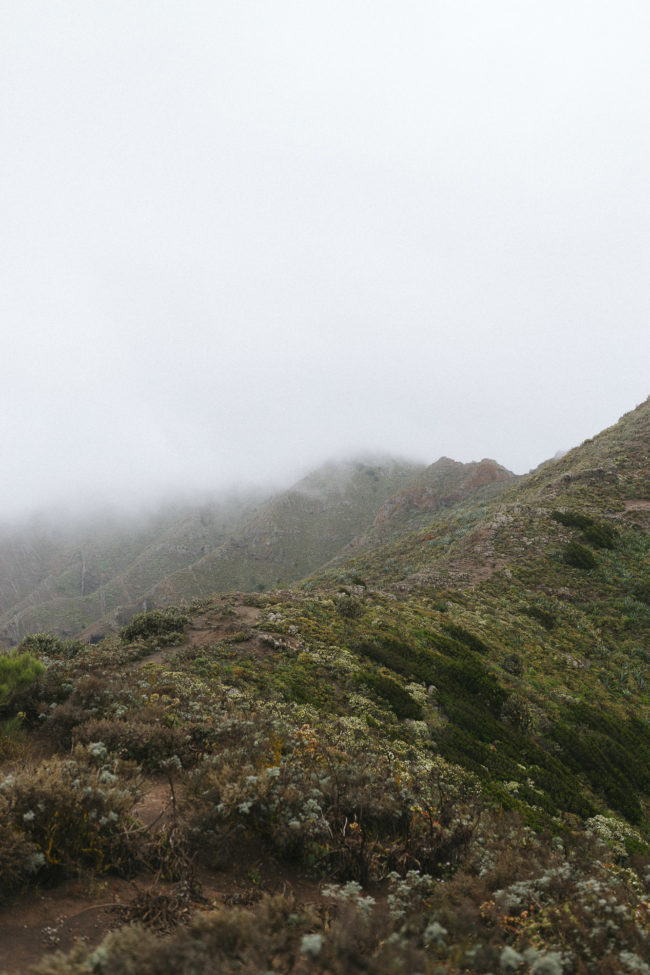 tenerife places to see-52