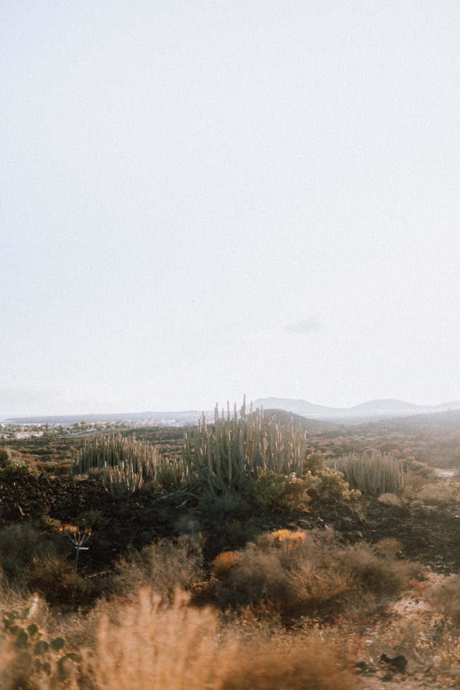 tenerife places to see