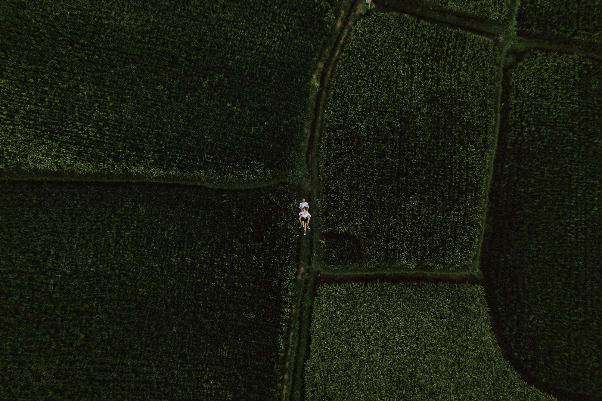 ubud engagement drone