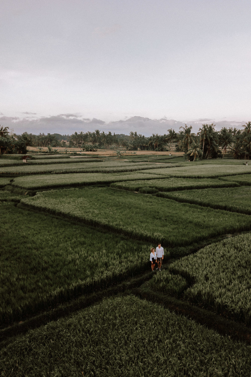 ubud engagement drone-3