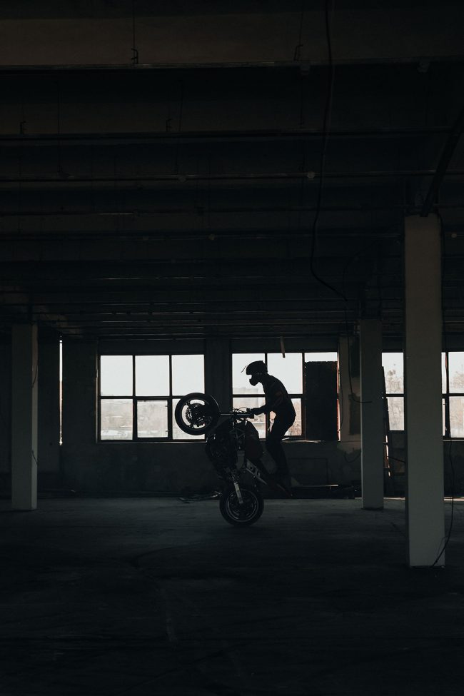 VANDAL – REBELHORN