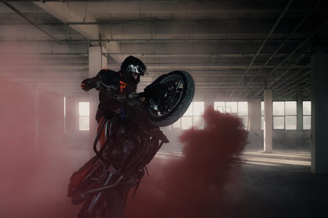 VANDAL – REBELHORN